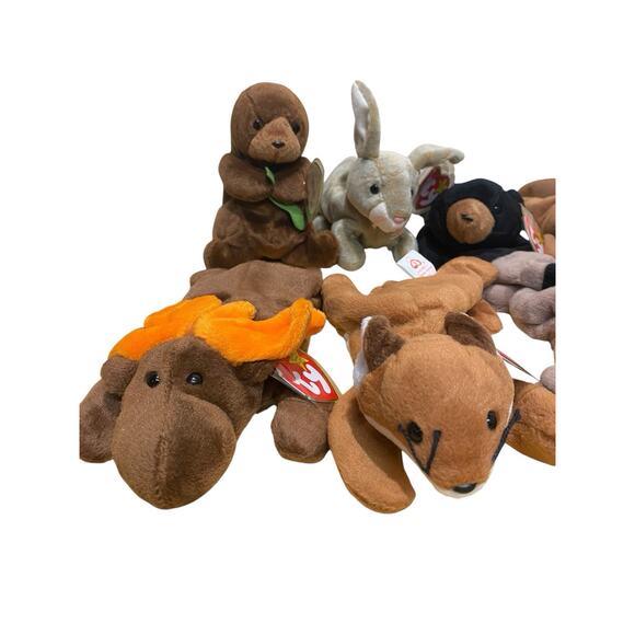 Lot Of 9 Beanie Babies Forest Themed Deer Moose Fox Skunk Bear Raccoon Beaver - Picture 2 of 6